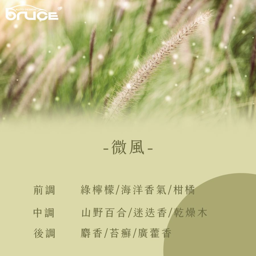 BR-182771_BR-182772_BR-182773-5