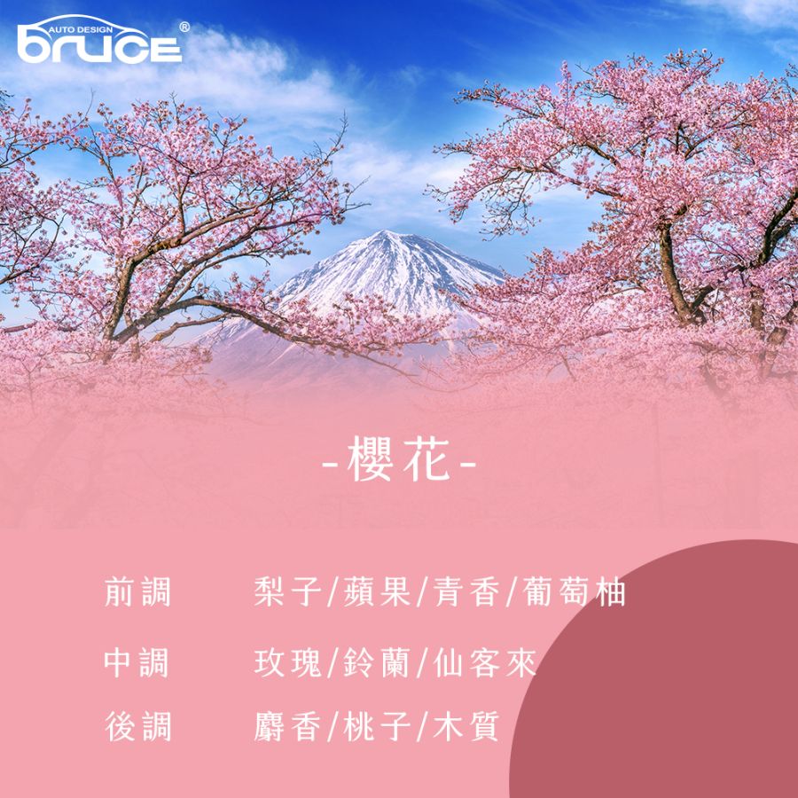 BR-182771_BR-182772_BR-182773-3