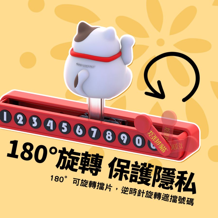 BR-718723 (13)