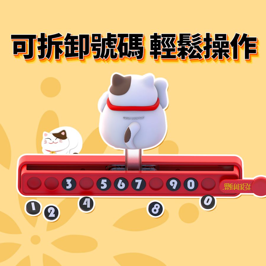 BR-718723 (14)