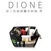 DIL111-DIONE 旅人抗菌摺疊收納箱-黑-05