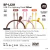 BF-LC01-BR-熊大MFI PD-30W充電傳輸線1.2M (3)